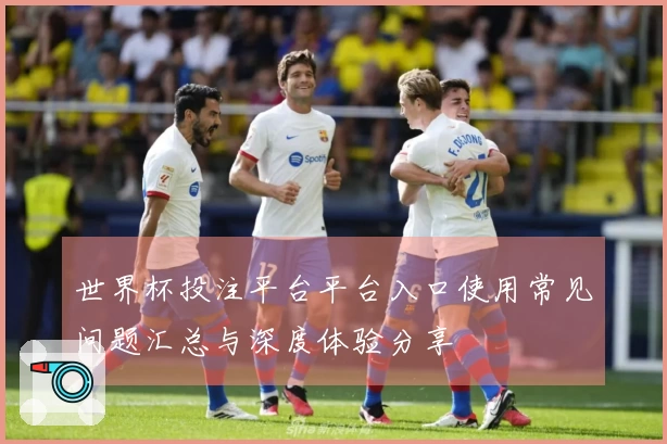 世界杯投注平台平台入口使用常见问题汇总与深度体验分享
