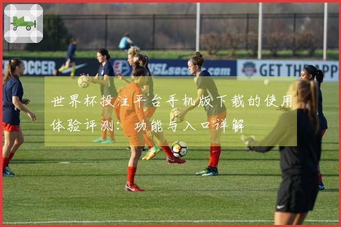 世界杯投注平台手机版下载的使用体验评测：功能与入口详解