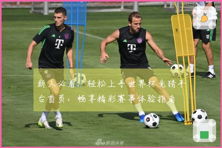 新人必看：轻松上手世界杯竞猜平台首页，畅享精彩赛事体验指南