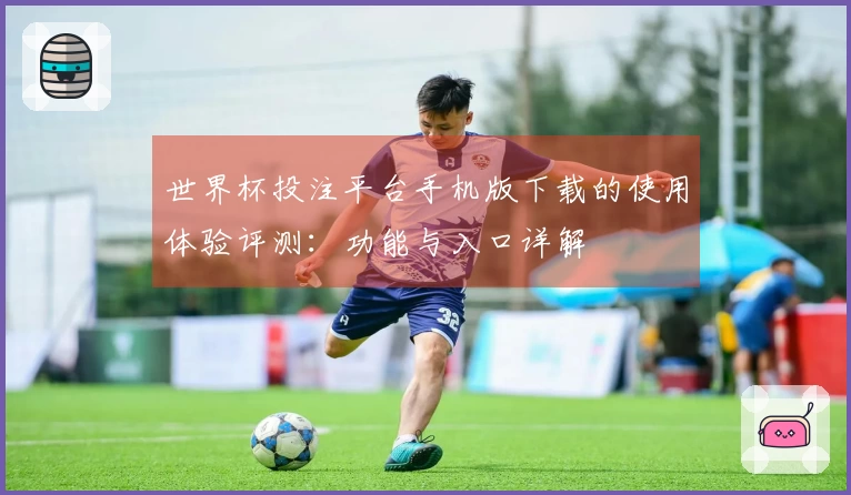 世界杯投注平台手机版下载的使用体验评测：功能与入口详解